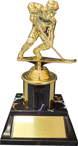 Black/Gold Hockey Trophy Package Deal (18)