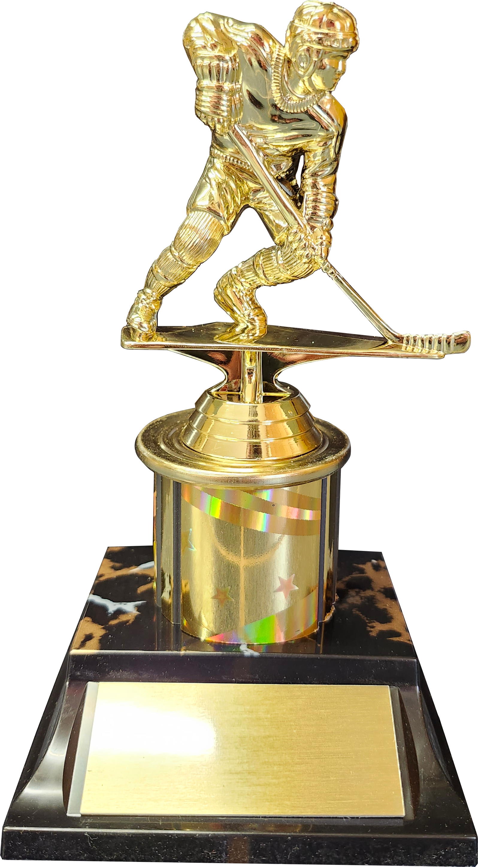Hockeytrophygold_1596x.png?v=