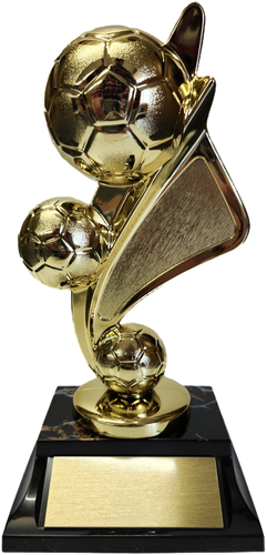 Soccer Riser Trophy Package Deal (16)