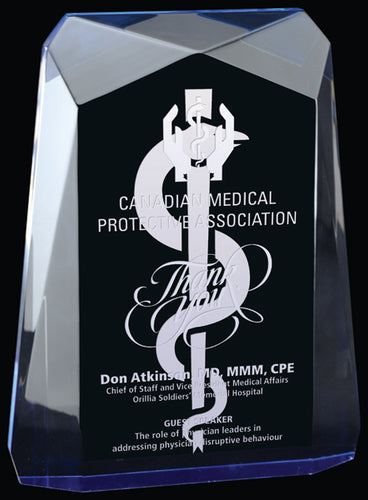 Traverse Acrylic Award