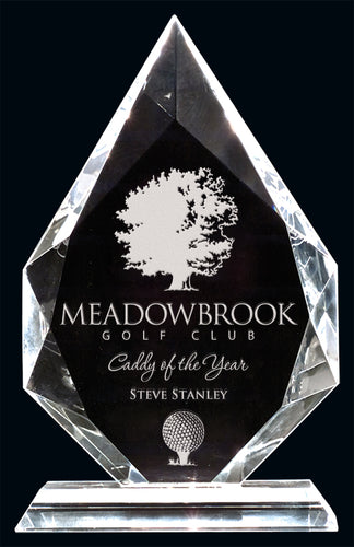 Southampton Crystal Award