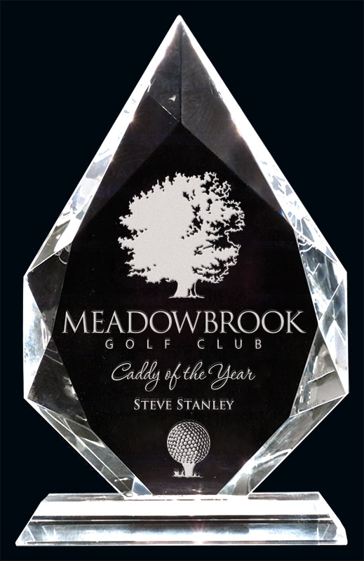 Southampton Crystal Award