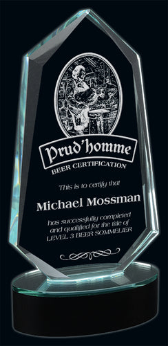 Freedom Crystal Award