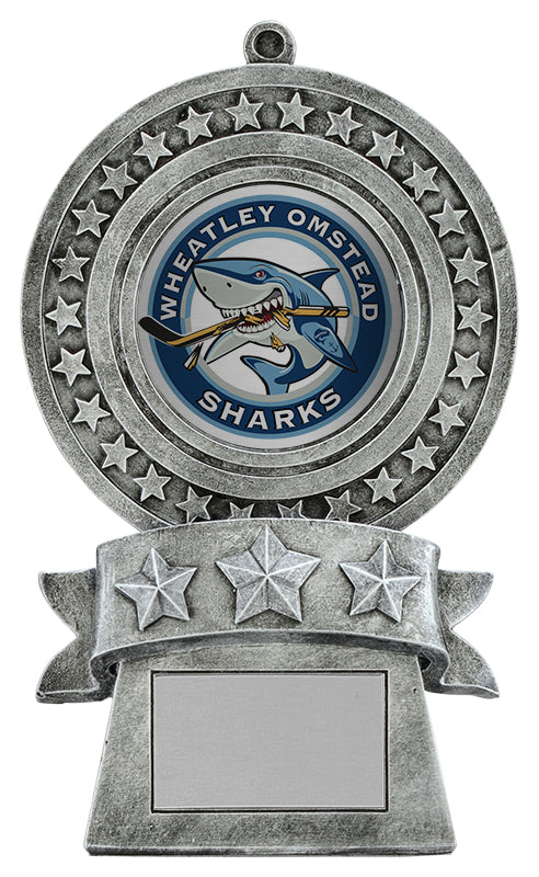 Star Medal 2