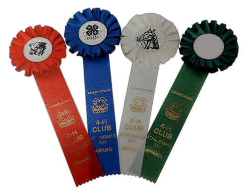 Stock 4-H Rosette